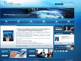 TILOG CONSULTING TILOG CONSULTING