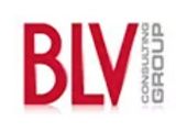 BLV Consulting