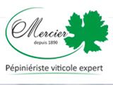 Mercier Groupe