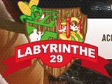 Labyrinthe 29