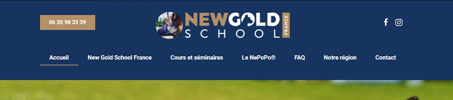 Banniere de New Gold School