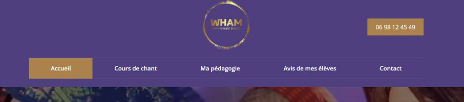 Banniere de Judy Wham