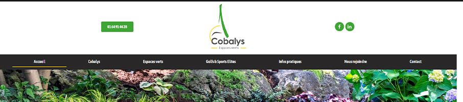 Banniere de Cobalys