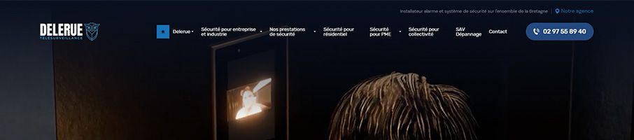 Banniere de Delerue T&eacute;l&eacute;surveillance