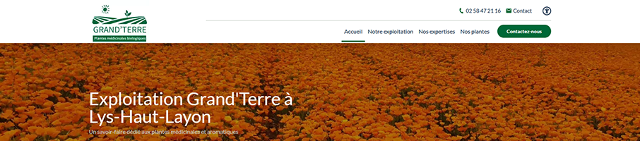 Banniere de Grand'Terre